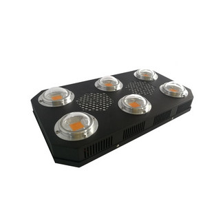 L'usine de la serre chaude LED élèvent le plein spectre 300W léger avec UV augmenté