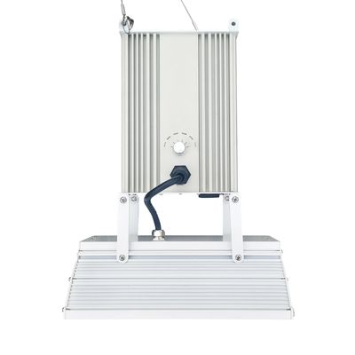 112000lm A CACHÉ des lumières de LED, sodium de 750W Horticultral HPS élève des lumières