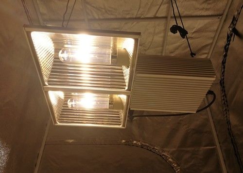 580µmol/s 164ft CMH élèvent le plein spectre 630W de lumières