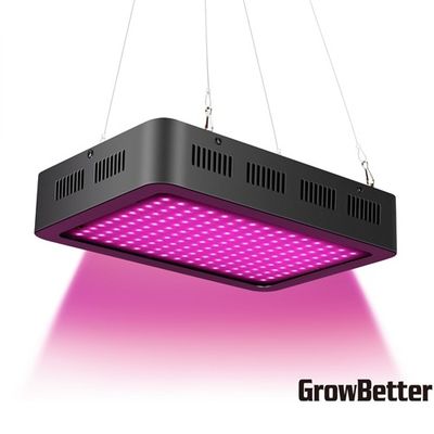 AC85V 500mA SMD LED se développent légers, 4.5m2 1000w cultivent les usines d'intérieur de lumières