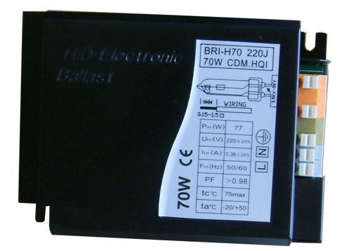lampe haloïde du sodium 70W en métal en céramique de ballast de serre chaude de 0.44A 130Hz Digital