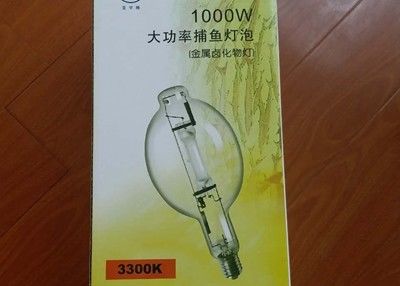 110000 lumens 8000hours élèvent le remplacement mené de bateau de pêche de l'ampoule de lampe 1000w