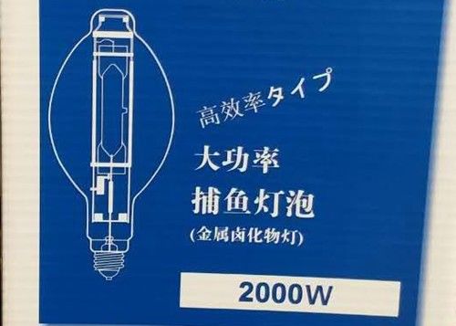 Lampe haloïde de pêche de calmar CACHÉE par lampe en métal de poissons d'ampoule de BT220 2000w MH