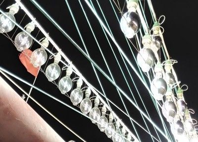 Le réflecteur latéral 700w MH élèvent la longueur 350mm d'économie de combustible d'ampoules