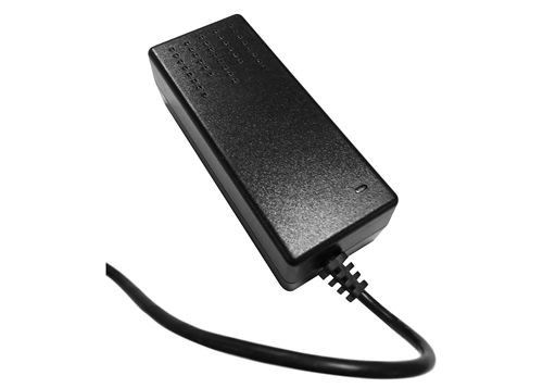 Refroidissement naturel du courant alternatif de Constant Voltage d'adaptateur d'alimentation CC de 21V3A 100VAC 230g