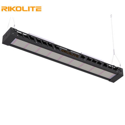 Le plein spectre de SMD3030 IP65 300w élèvent les lumières, 1450umol/s a mené le montage de guide optique