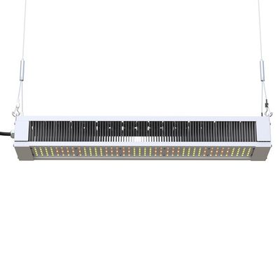 RikoLite 240W que le plein spectre LED élèvent la barre mince légère, AL1100 l'horticulture LED élèvent des lumières