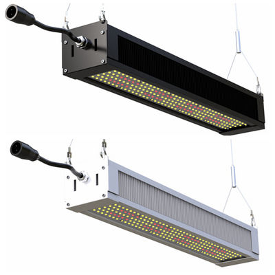 RikoLite 240W que le plein spectre LED élèvent la barre mince légère, AL1100 l'horticulture LED élèvent des lumières