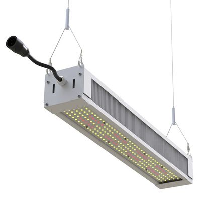 RikoLite 240W que le plein spectre LED élèvent la barre mince légère, AL1100 l'horticulture LED élèvent des lumières