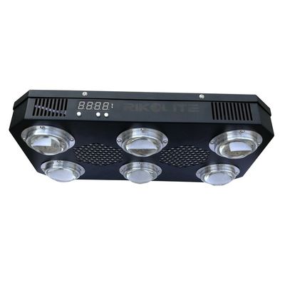 l'ÉPI de 300W 4.2kgs LED élèvent la fan fleurissante légère de plat de radiateur que 24 heures commutent 300w mené pour élever la lumière