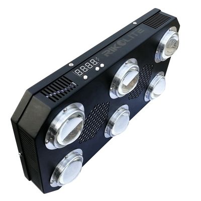 l'ÉPI de 300W 4.2kgs LED élèvent la fan fleurissante légère de plat de radiateur que 24 heures commutent 300w mené pour élever la lumière