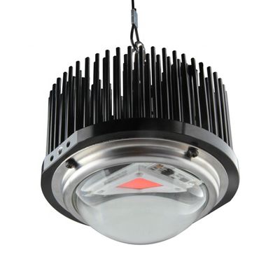 faits maison de DOB 50W menés élèvent des lumières, plein spectre de l'épi 1M2 élèvent les kits légers
