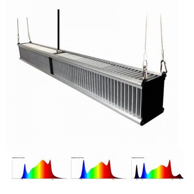 l'usine de serre chaude de 800w 2.7μMol/J élèvent des lumières que l'hybride d'horticulture a mené la barre 1000w mince
