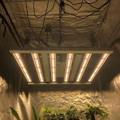 L'horticulture 35 centigrade menée élèvent le guide optique du pilier 2.6μMol/J des lumières 480W 6