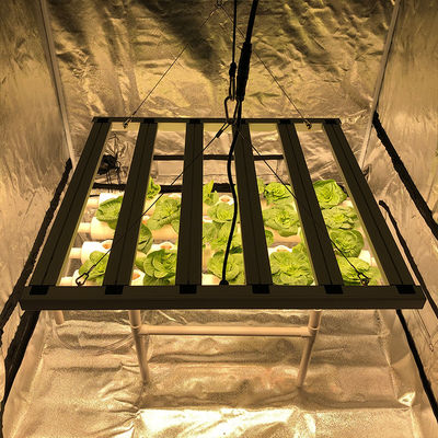 L'horticulture 35 centigrade menée élèvent le guide optique du pilier 2.6μMol/J des lumières 480W 6