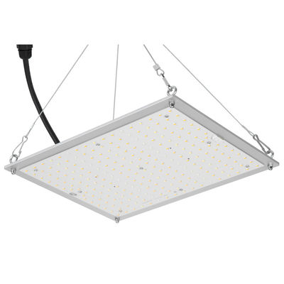 Culture hydroponique de RikoLite 100W 277vac menée pour élever le panneau 167.3umol/S de Quantum de lumières
