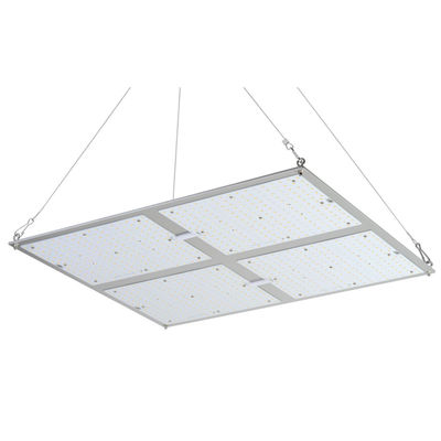 La puissance élevée de Rikolite 400w menée élèvent des lumières, l'usine 149.6m/W hydroponique pour se développer légère