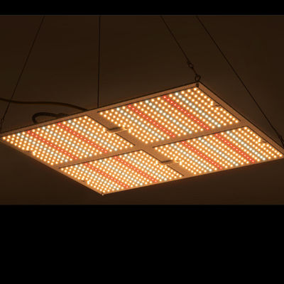 La puissance élevée de Rikolite 400w menée élèvent des lumières, l'usine 149.6m/W hydroponique pour se développer légère