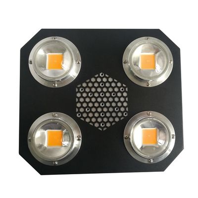 L'usine de Rikolite 780nm menée élèvent des lumières Flip Cob Aluminum Alloy UV d'intérieur AC855V