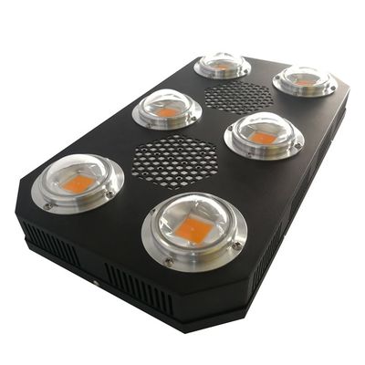 l'usine UV de 300W 38mil menée élèvent le clignotement d'épi de Rikolite de lumières libre