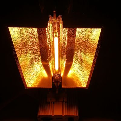 le double de 1000W HPS fini élèvent la solution de allumage à télécommande 2100umol/s de lumières
