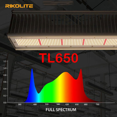 TL650 serre chaude du PAIR 1755umol/S menée pour élever les lumières 630W pour Veg/fleur