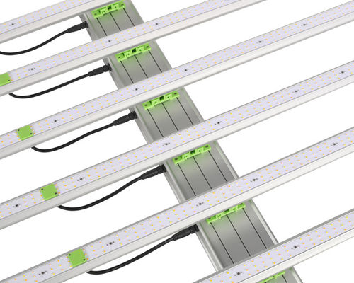 600W 1560μ Mol Plant LED élèvent des lumières 6 barres EPAR 380nm-760nm