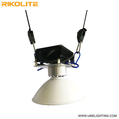 G12 Cmh 150w a mené l'éclairage élevé croissant de rendement de Vegging de jeune plante de lumières d'usine