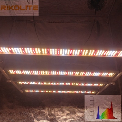 La galaxie 2835SMD LED 240W 4 barre l'usine pliable élèvent les lumières 0 - 10V Dimmable