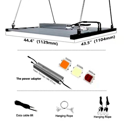 2000umol/S 1000 watts menés élèvent le guide optique mené pour élever les bandes légères pour l'agriculture verticale