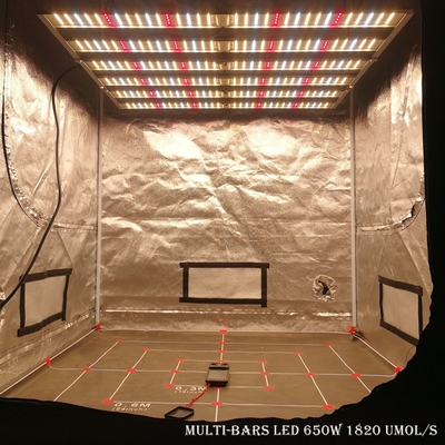 La serre chaude LED de barres de RikoLite 650W 1820umol/S 6 élèvent des lumières