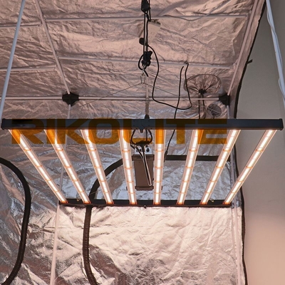 5X5 la puissance élevée LED élèvent les lumières LM301B/LM301H Osram 660nm Osram 730nm