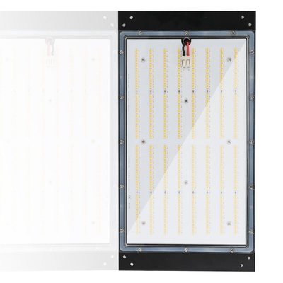 120w la culture hydroponique LED élèvent des lumières que 3500k Dimmable IP65 a évalué imperméable