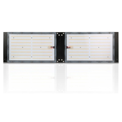 Conseil imperméable d'IP65 LED Herb Grow Light 240W SAMSUNG Quantum pour agricole