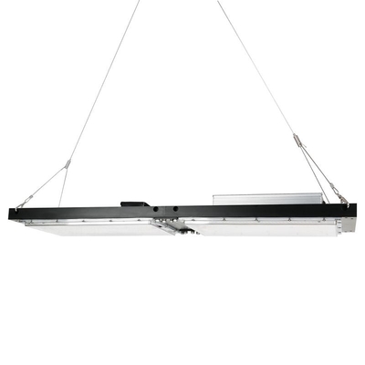 Conseil imperméable d'IP65 LED Herb Grow Light 240W SAMSUNG Quantum pour agricole