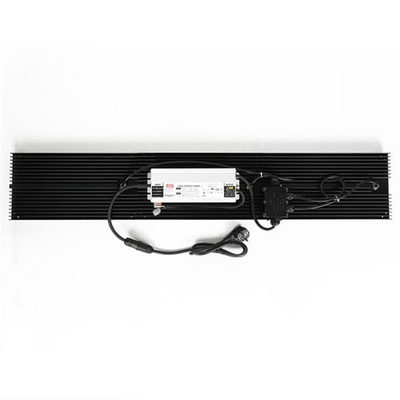 La culture hydroponique Quantum LED élèvent le plein spectre des lumières IP65 320w pour le légume