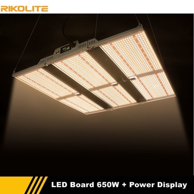 L'horticulture LED de Rikolite élèvent des panneaux des lumières 650w Quantum avec la fonction d'affichage de puissance