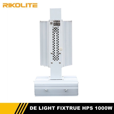le double de 2000µmol/s HPS fini élèvent le ballast électronique de 1000W CACHÉ par lumières Digital