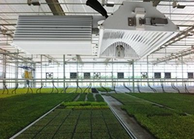 la LED CACHÉE par 1050µMol/S élèvent les lumières, 630W cultive l'halogénure en céramique en métal se développent légère