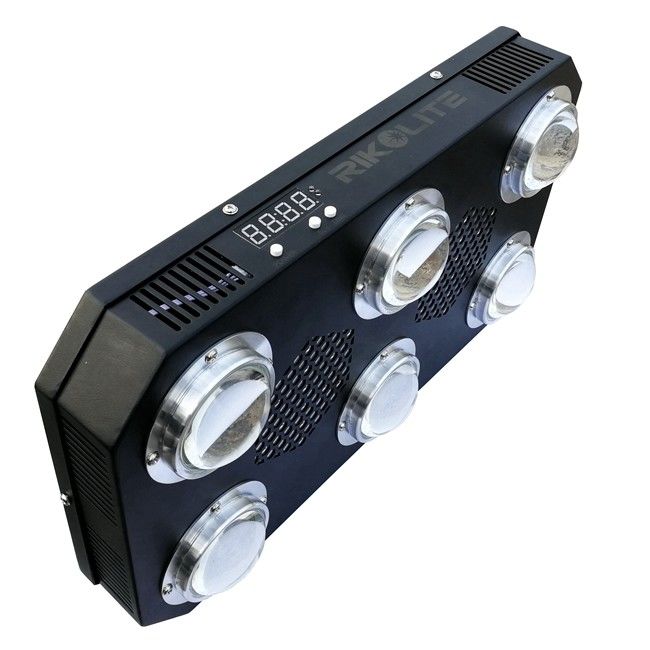 l'ÉPI de 300W 4.2kgs LED élèvent la fan fleurissante légère de plat de radiateur que 24 heures commutent 300w mené pour élever la lumière