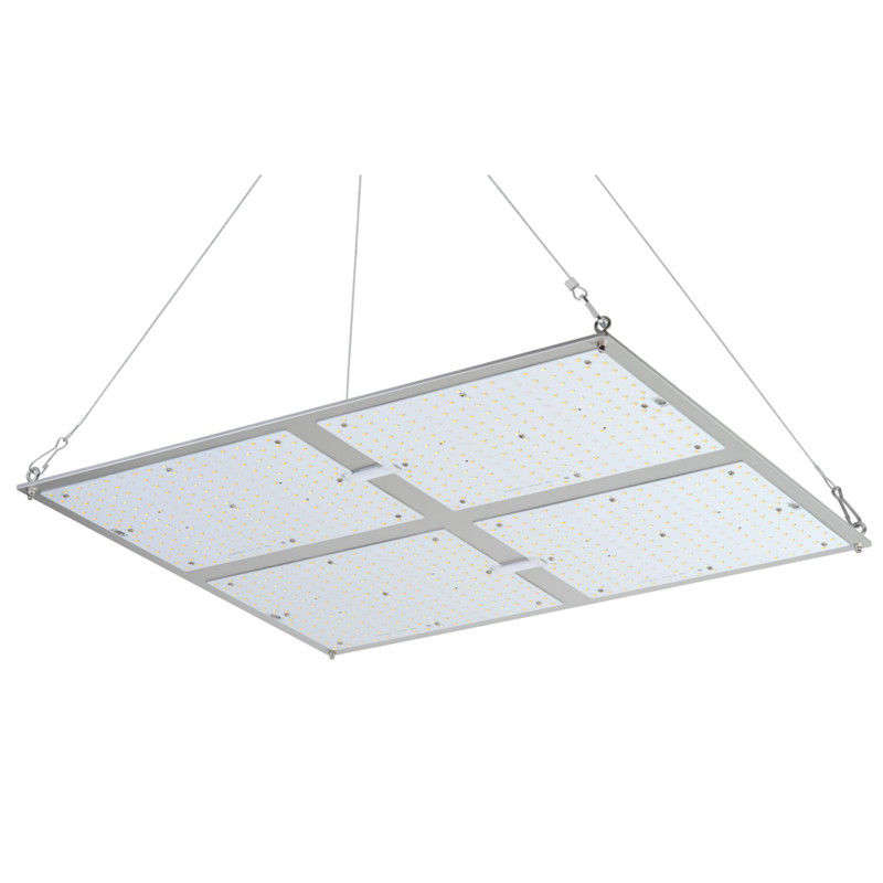 La puissance élevée de Rikolite 400w menée élèvent des lumières, l'usine 149.6m/W hydroponique pour se développer légère