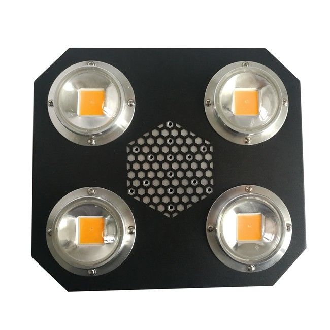 L'usine de Rikolite 780nm menée élèvent des lumières Flip Cob Aluminum Alloy UV d'intérieur AC855V