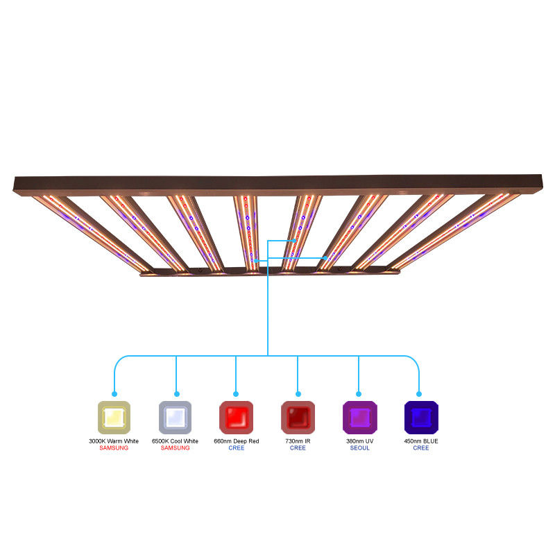 usines d'intérieur de 960w 1000w menées élever des lumières pour 6x6 la couverture Samsung LM301B
